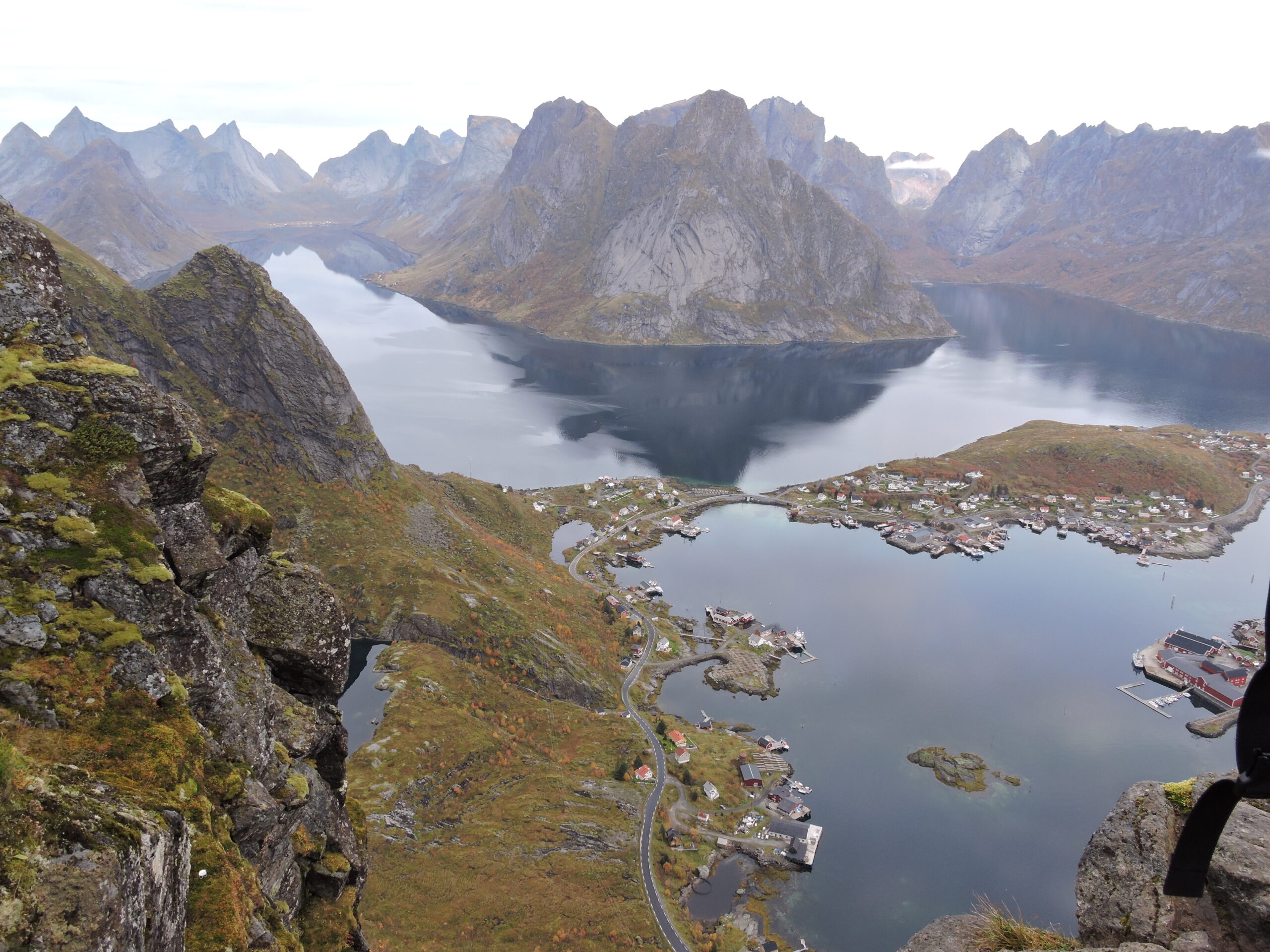 Vue panoramique depuis le sommet du Reinebringen sur Reine et le fjord