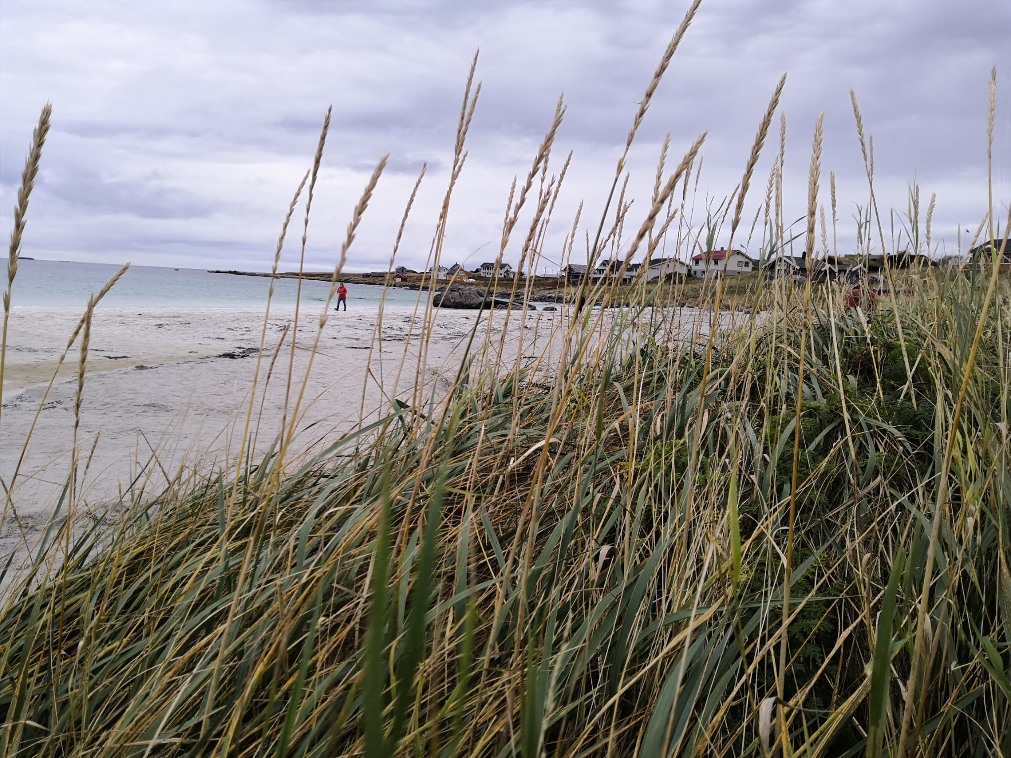 Ramberg Beach, Lofoten