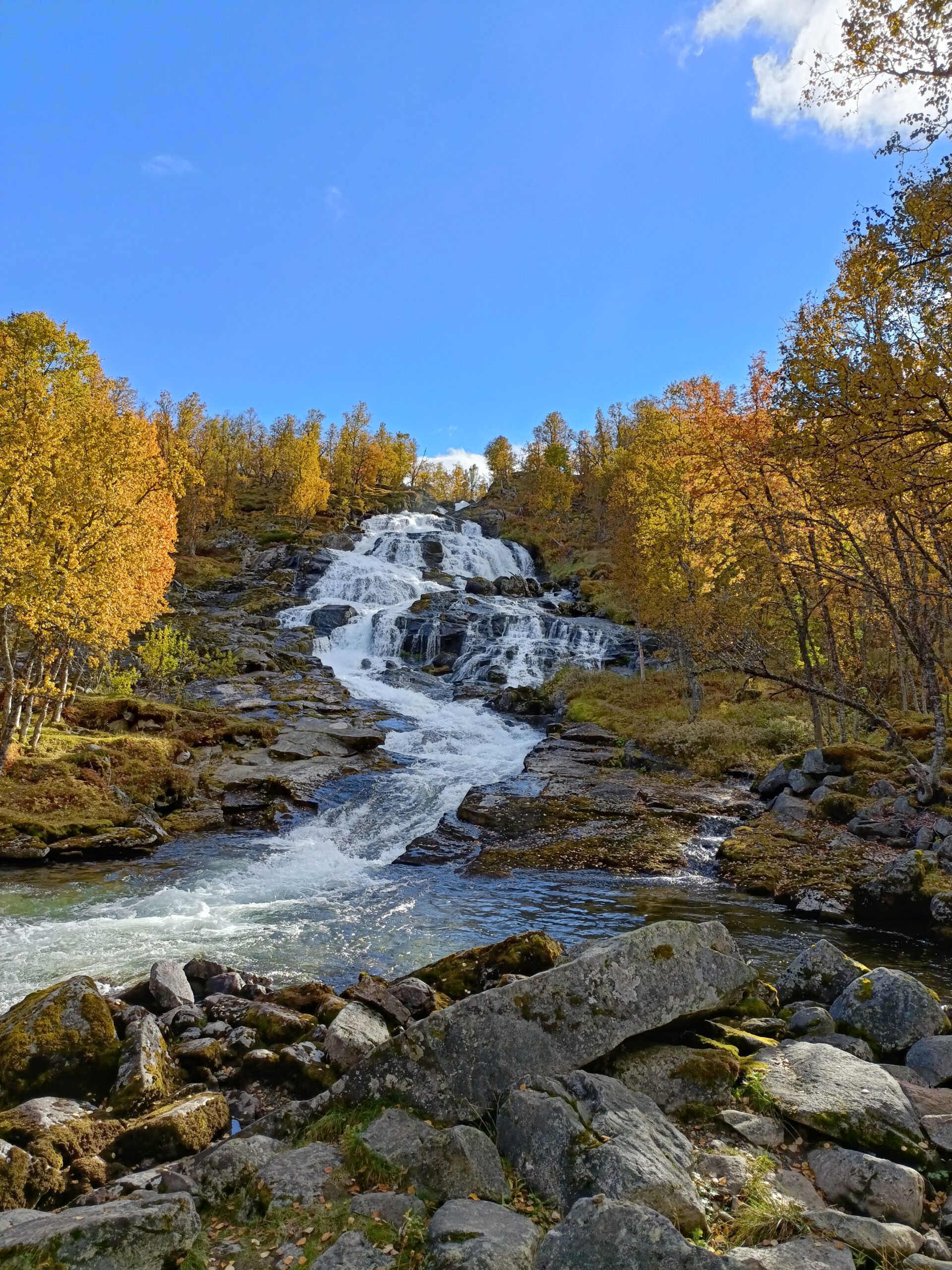 Snøvegen, route des neiges, Norvège