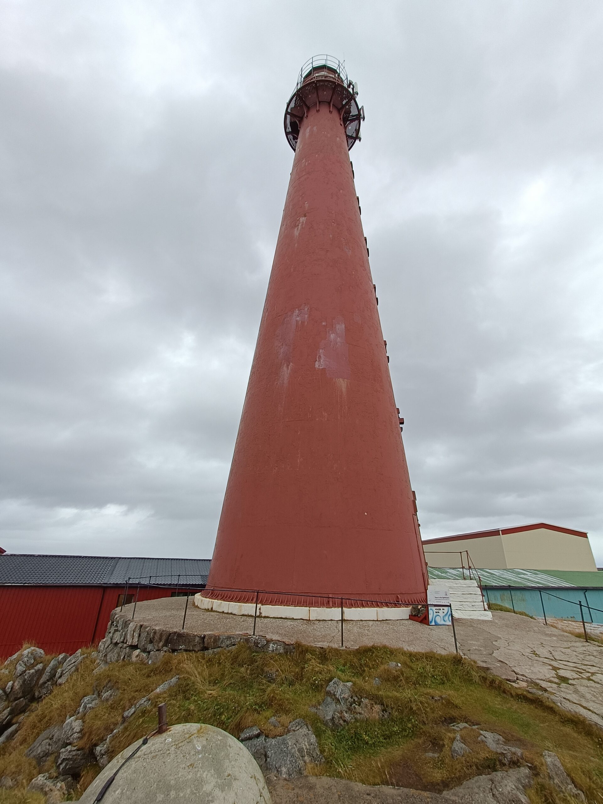 Baleines Andenes