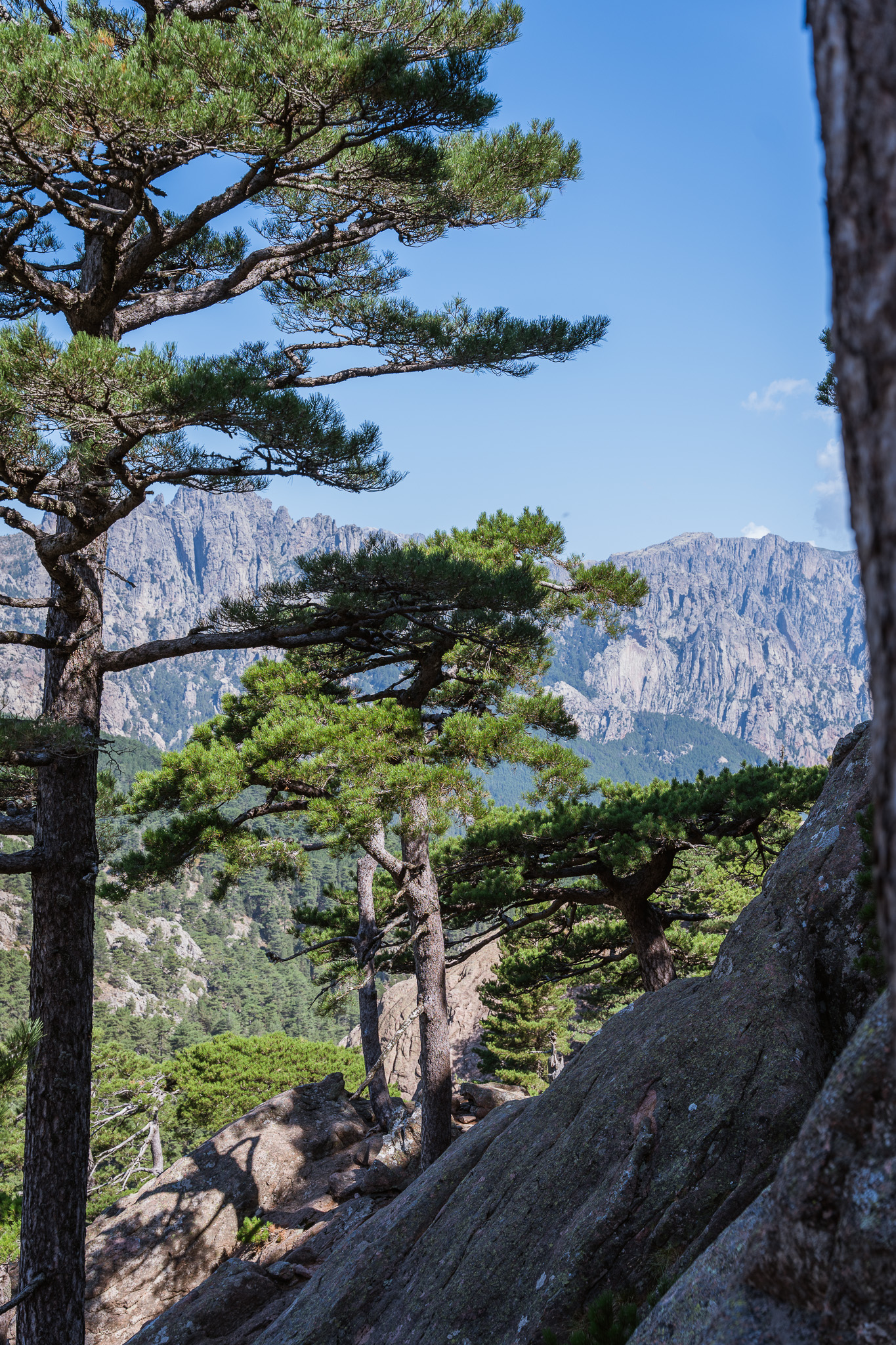 Trou de la Bombe, massif de Bavella, Corse