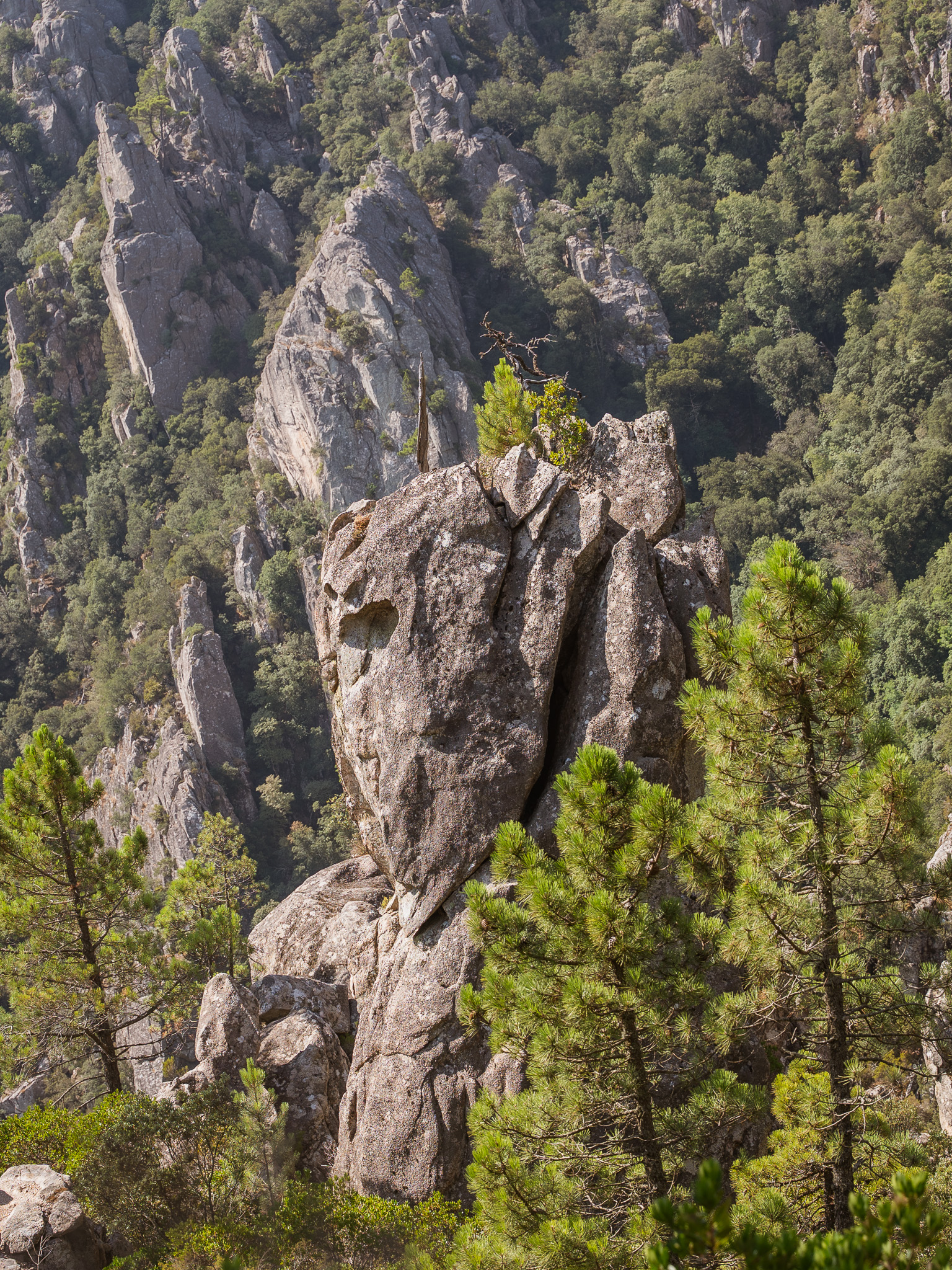 Randonnée Piscia di Ghjaddu, Corse-du-Sud