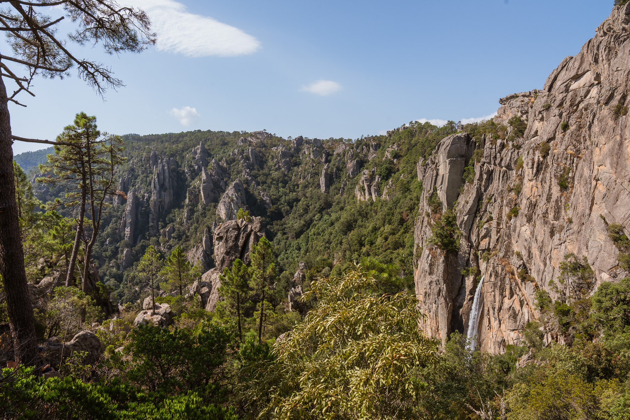 Sentier dans la forêt de l'Ospédale vers Piscia di Ghjaddu